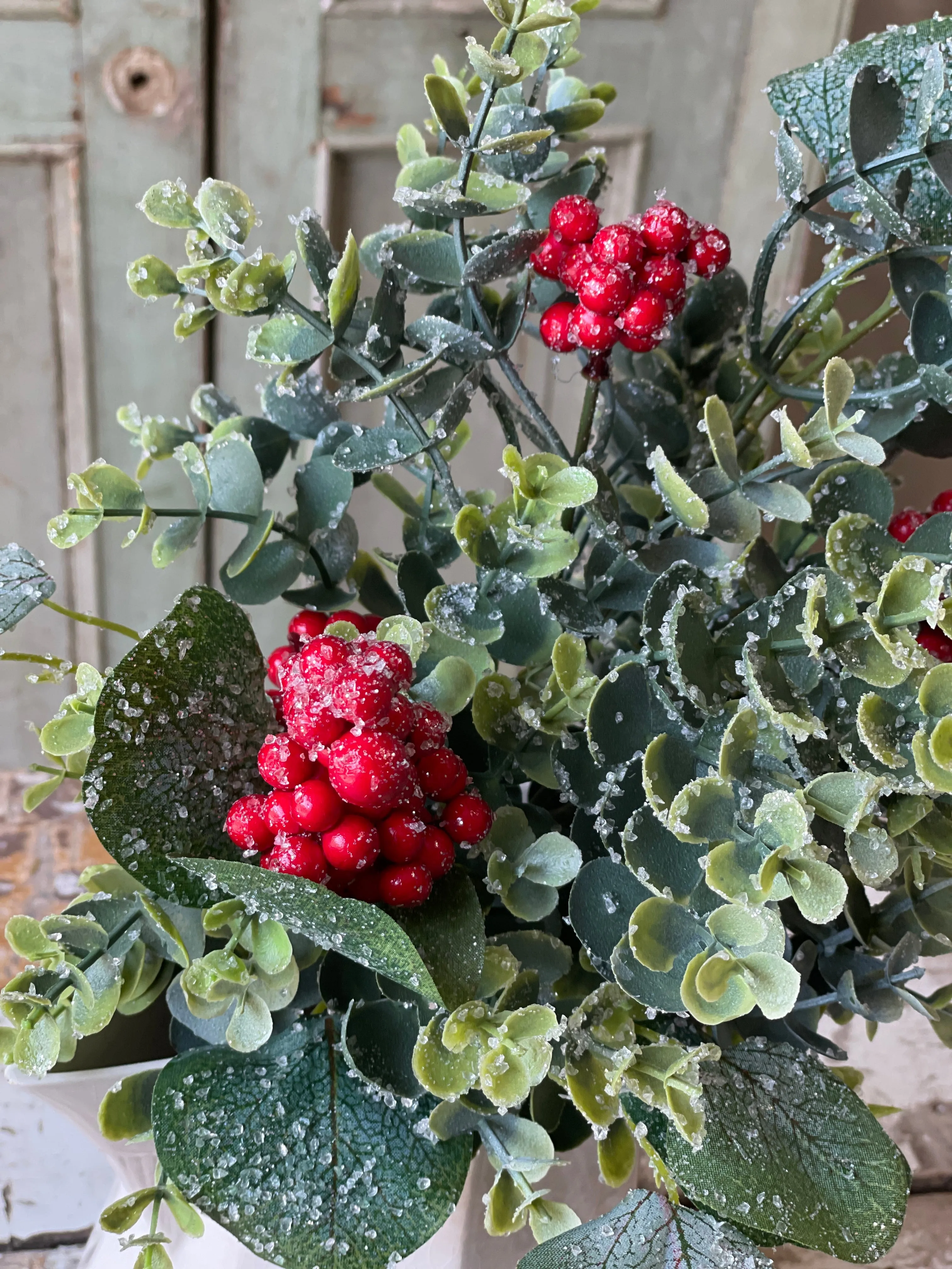 Harlequin Eucalyptus Half Sphere | 11" | SKID SPECIAL!  $4.95 *
